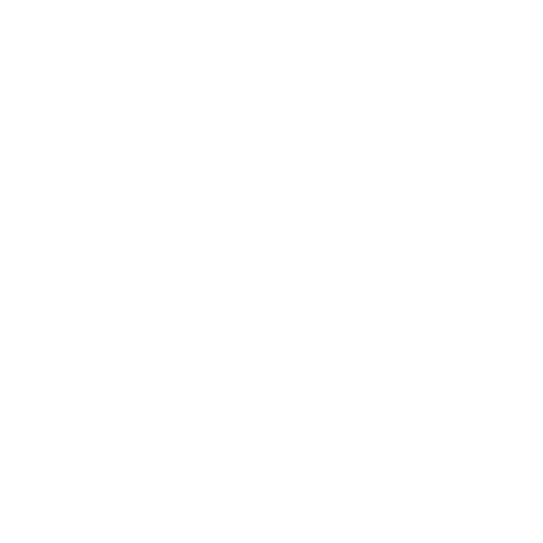 VRV Racing Team